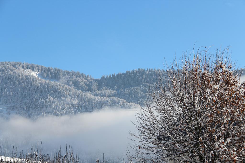 Hotel La Tapia Autrans-Meaudre-en-Vercors Eksteriør billede